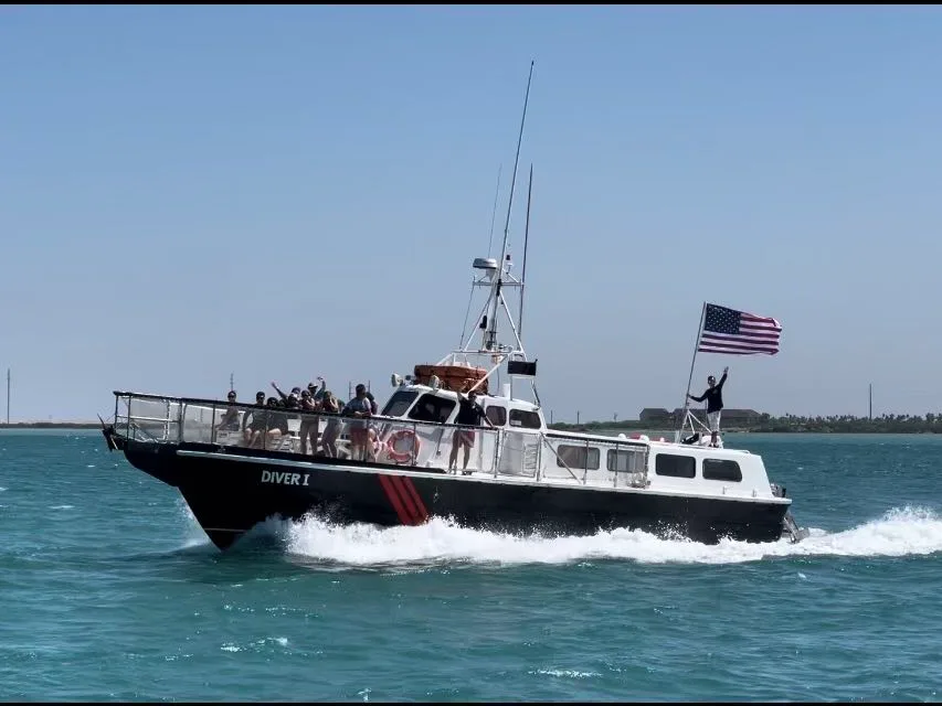 Guests enjoying a dolphin tour boat ride